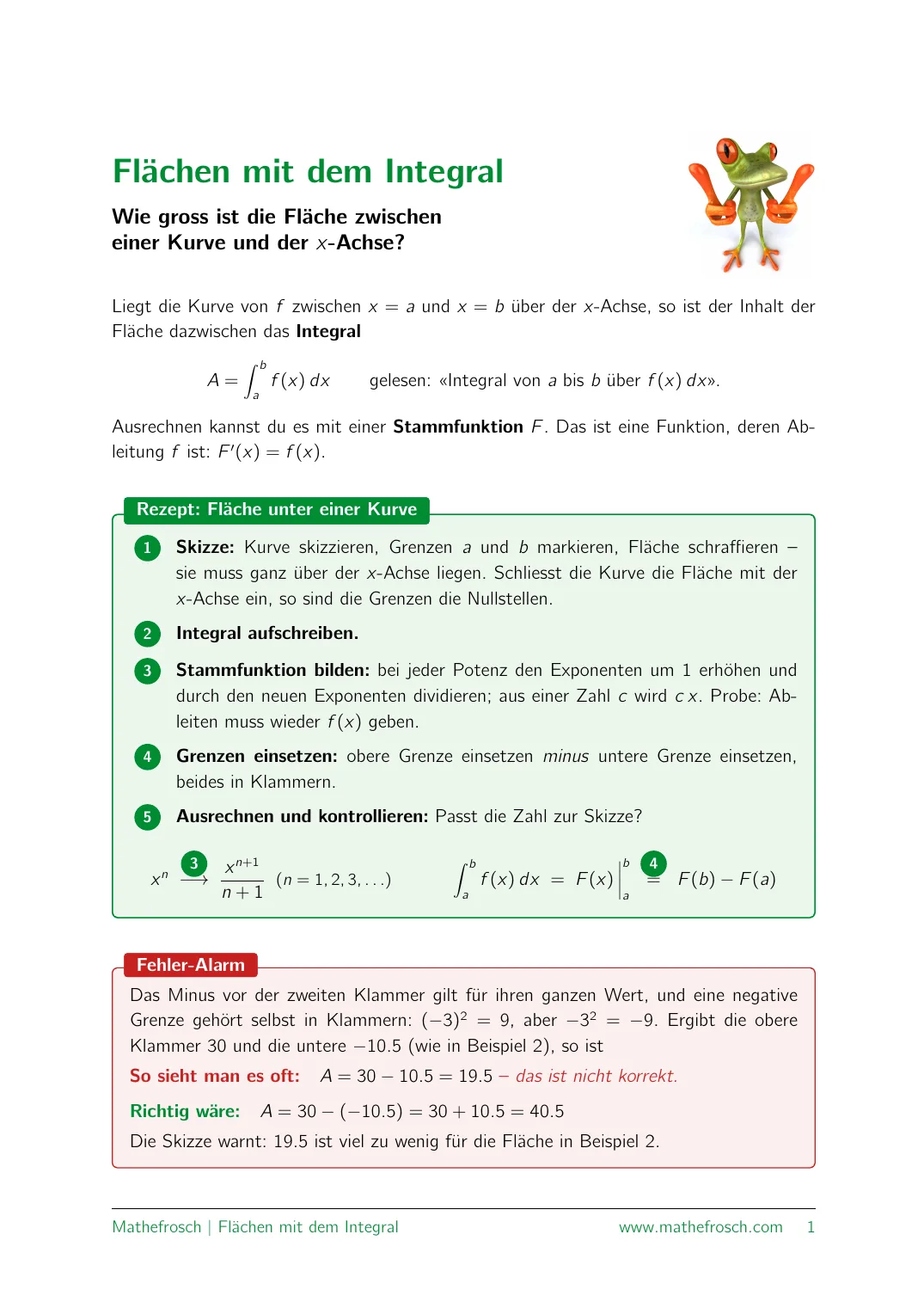 Flächen mit dem Integral – Anleitungsblatt