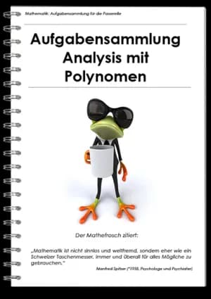 Titelbild Aufgabensammlung mit Polynomen