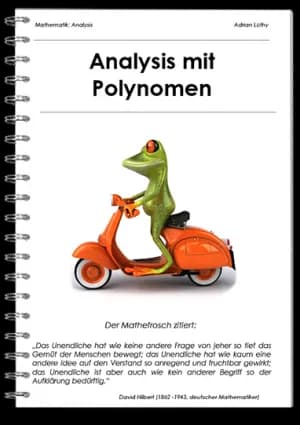 Analysis mit Polynomen