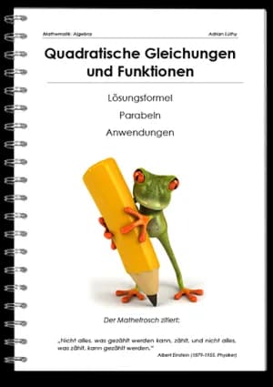 Quadratische Gleichungen und Funktionen