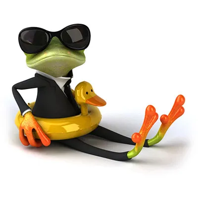 Der Mathefrosch