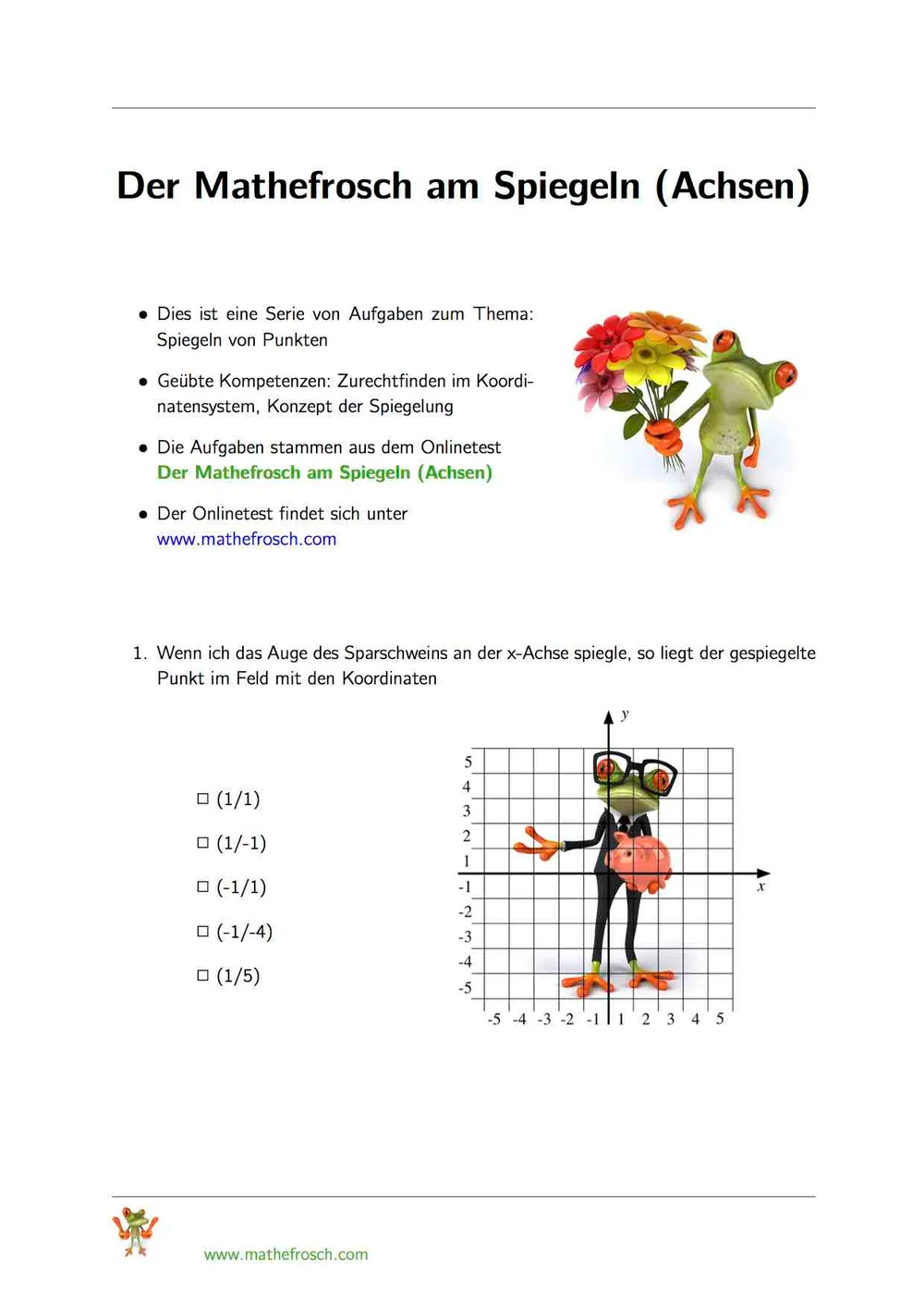 Der Mathefrosch am Spiegeln (Achsen)
